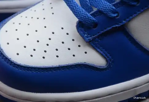 CU1726-100 SP Dunk (2020) Nike Kentucky Low 0620